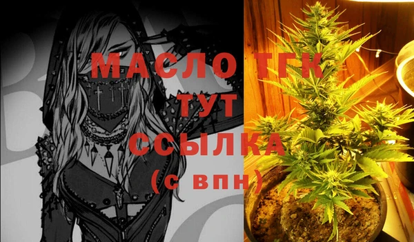 тгк Абаза