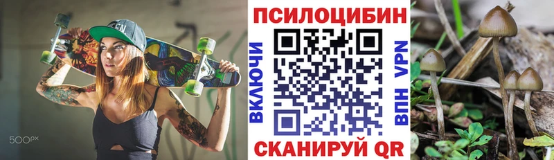 Галлюциногенные грибы MAGIC MUSHROOMS  хочу наркоту  Барнаул 